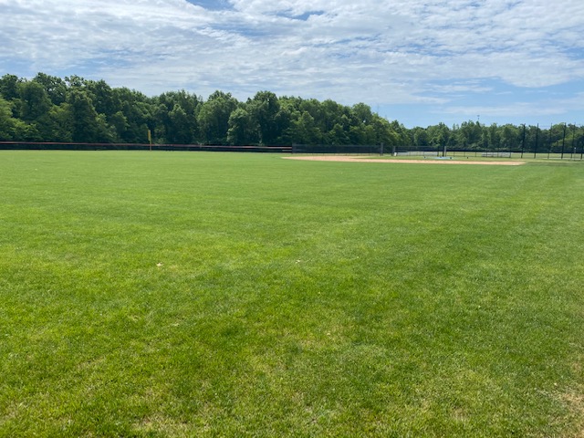 New Baseball Field